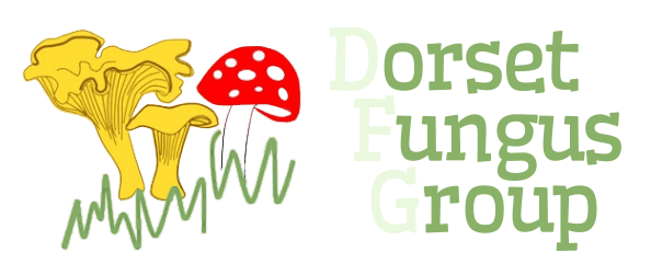 Dorset Fungus Group Logo