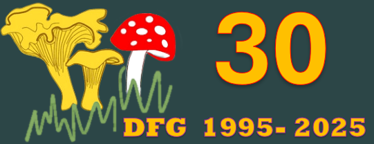 Dorset Fungus Group